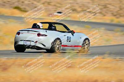 media/Nov-16-2024-Extreme Speed (Sat) [[6587d07cc4]]/Gold Group/Session 2 (Turns 3 and 5)/